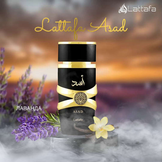 Lattafa Asad Eau De Parfum 100ml Men Fragrance