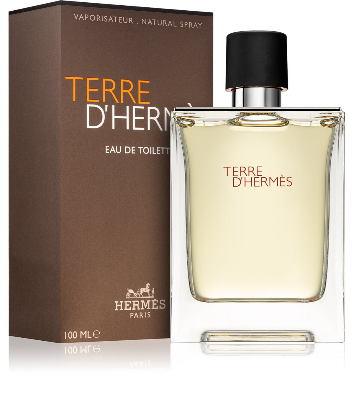 Hermes Terre D'Hermes Eau De Toilette Spray 100ml